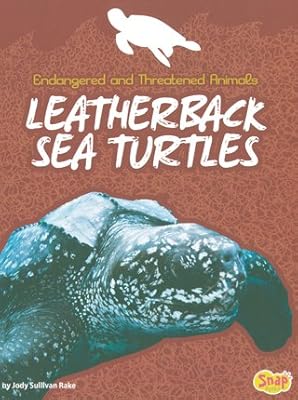 Leatherback Sea Turtles