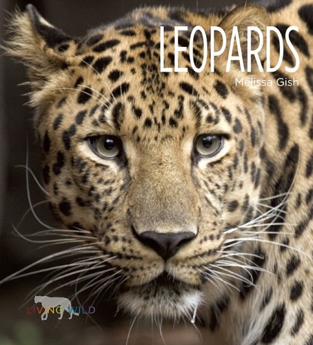 Leopards by Melissa Gish