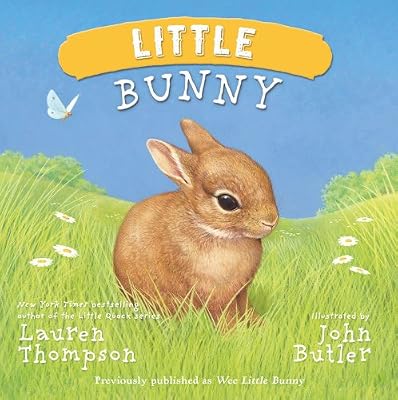 Little Bunny