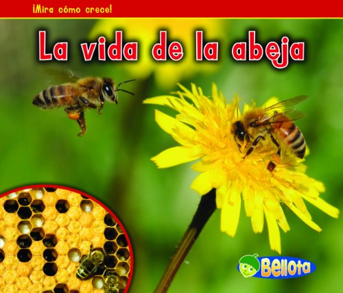 La vida de la abeja by Nancy Dickmann