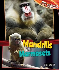 Mandrills and Marmosets by Henry Thatcher