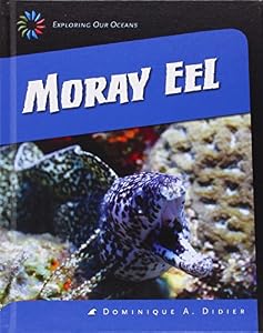 Moray Eel by Dominique A. Didier