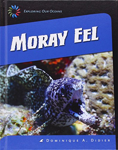 Moray Eel by Dominique A. Didier