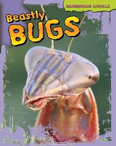 Beastly Bugs