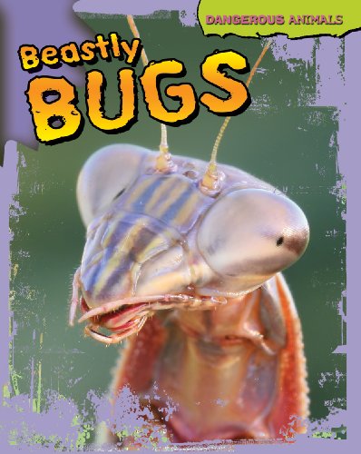 Beastly Bugs by Tom Jackson