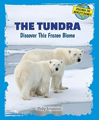 The Tundra: Discover This Frozen Biome