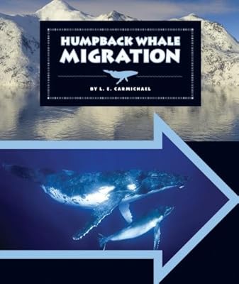 Humpback Whale Migration