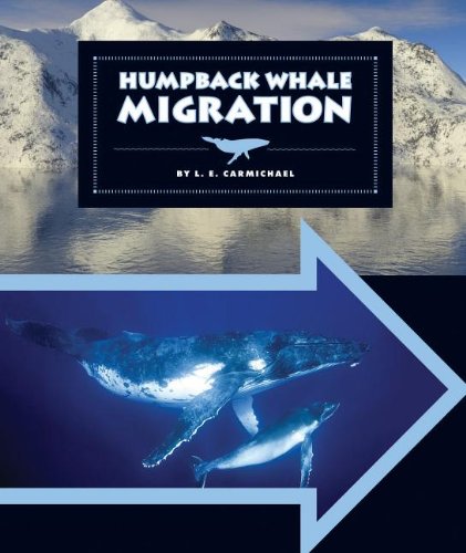 Humpback Whale Migration by L. E. Carmichael