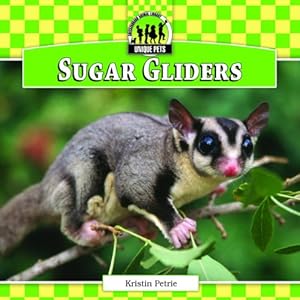 Sugar Gliders