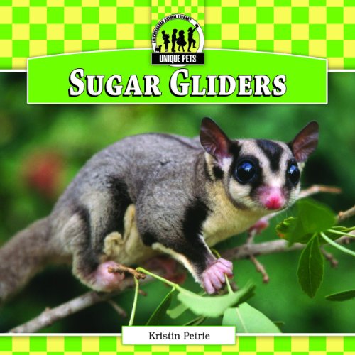 Sugar Gliders by Kristin Petrie