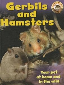 Gerbils and Hamsters