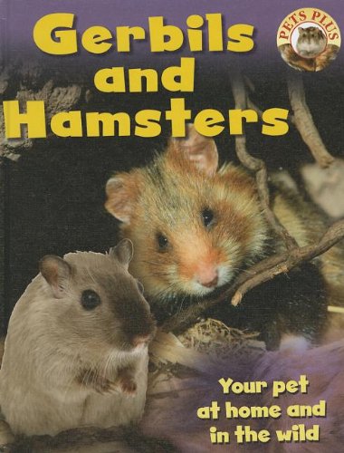 Gerbils and Hamsters by Sally Morgan
