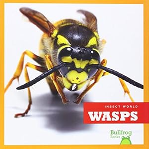 Wasps