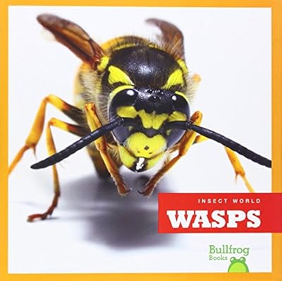 Wasps