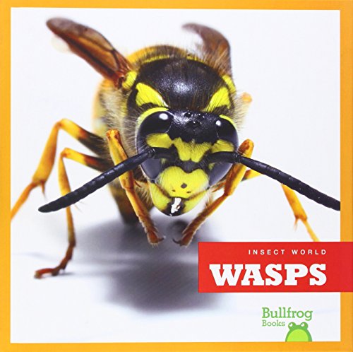 Wasps by Mari Schuh