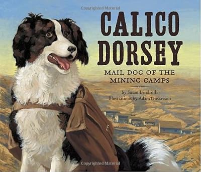 Calico Dorsey
