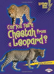 Can You Tell a Cheetah from a Leopard?