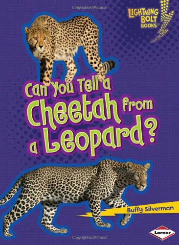 Can You Tell a Cheetah from a Leopard? by Buffy Silverman