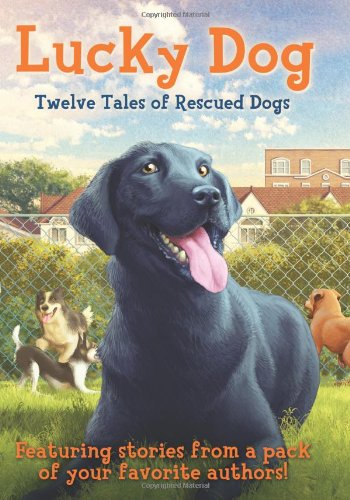 Lucky Dog: Twelve Tales of Rescued Dogs by C. Alexander London