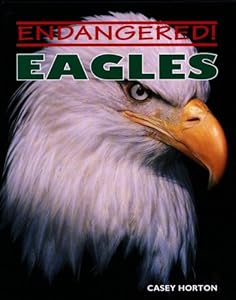 Eagles (Endangered!)
