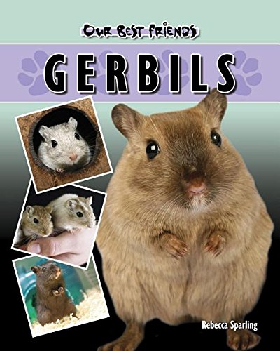 Gerbils (Our Best Friends) by Rebecca Sparling