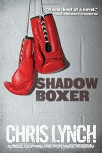 Shadow Boxer