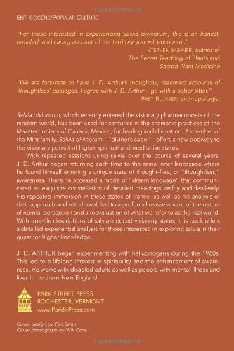 

Salvia Divinorum: Doorway to Thought-Free Awareness