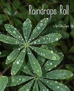 Raindrops Roll: with audio recording