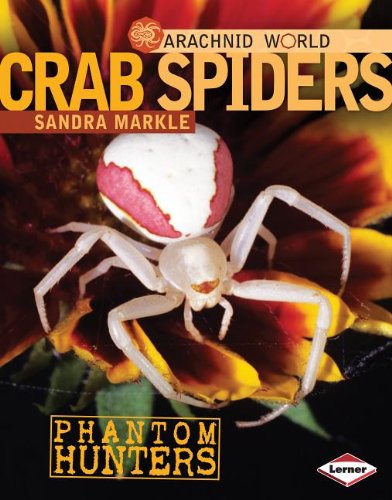 Crab Spiders: Phantom Hunters by Sandra Markle