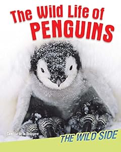 The Wild Life of Penguins