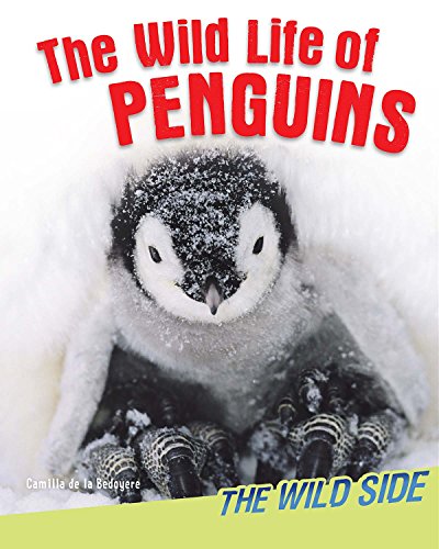 The Wild Life of Penguins by Camilla de la Bedoyere