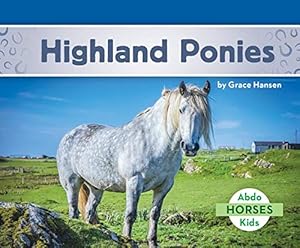 Highland Ponies (Horses)
