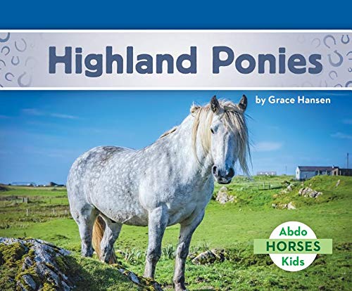 Highland Ponies (Horses) by Grace Hansen