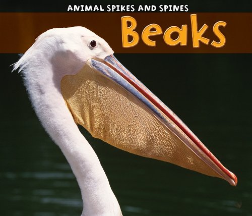 Beaks (Animal Spikes and Spines) by Rebecca Rissman