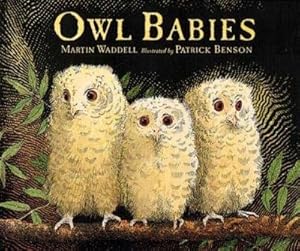 Owl babies