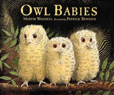 Owl babies by Martin Waddell
