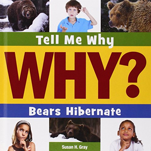 Bears Hibernate by Susan Heinrichs Gray