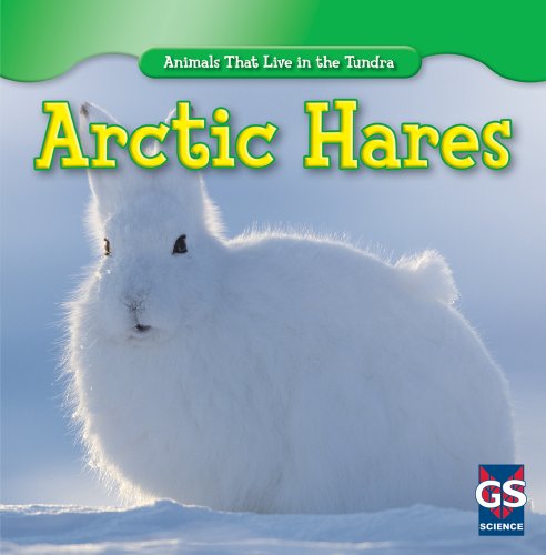 Arctic Hares by Therese M. Shea