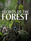 Secrets of the Forest