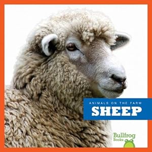 Sheep by Wendy Strobel Dieker