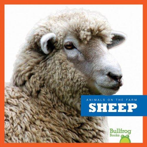 Sheep by Wendy Strobel Dieker