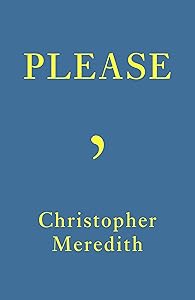 Please by Christopher Meredith