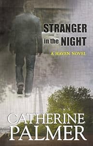 Stranger in the Night (Center Point Christian Romance (Large Print))