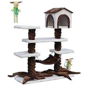 http://ecx.images-amazon.com/images/I/51tgBvXoUuL._SL500_AA300_.jpg