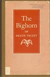 The bighorn of Death Valley