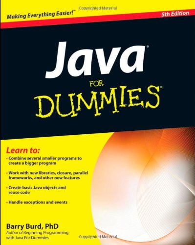 Java For Dummies by Burd