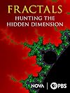 Fractals Hunting the hidden dimension