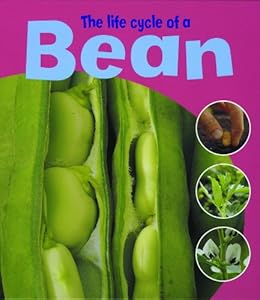 The Life Cycle of a Bean (Learning About Life Cycles)