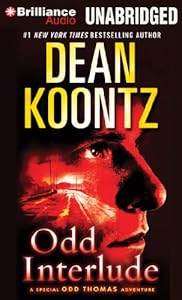 Odd Interlude (Odd Thomas Series)