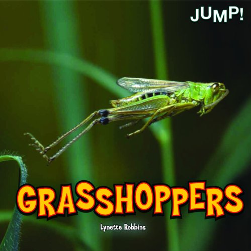 Grasshoppers by Lynette Robbins